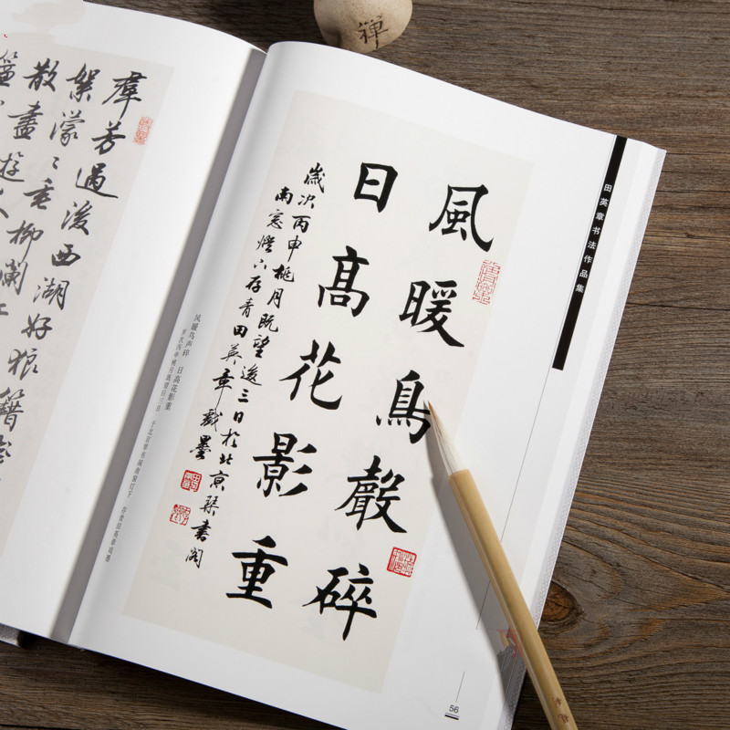 Ouyang Xun Brush Calligraphy C - Chinese Calligraphy Practice Book 评论和价格