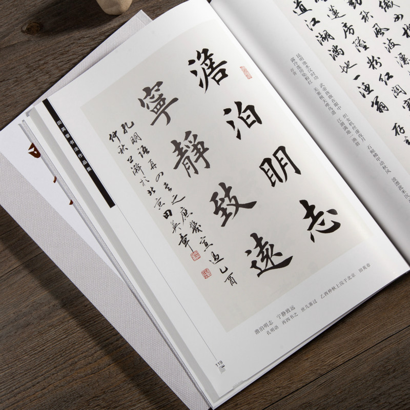 Ouyang Xun Brush Calligraphy C - Chinese Calligraphy Practice Book 评论和价格