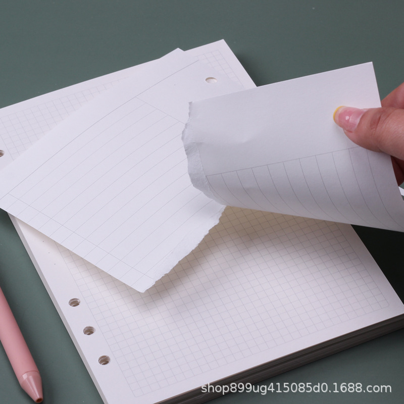 A5 Loose Leaf Notebook Refill  - A5 Spiral Dotted Grid Notebook 评论和价格